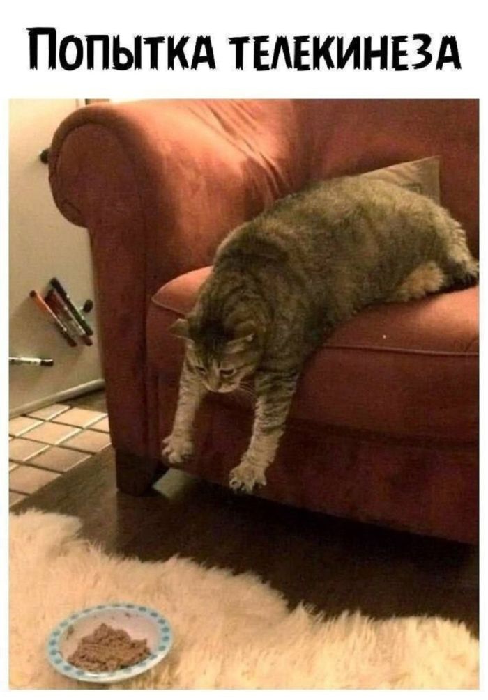 картинка 5876a35be1 pjatnica vremja dlja smeha lovite novuju porciju prikolov 13