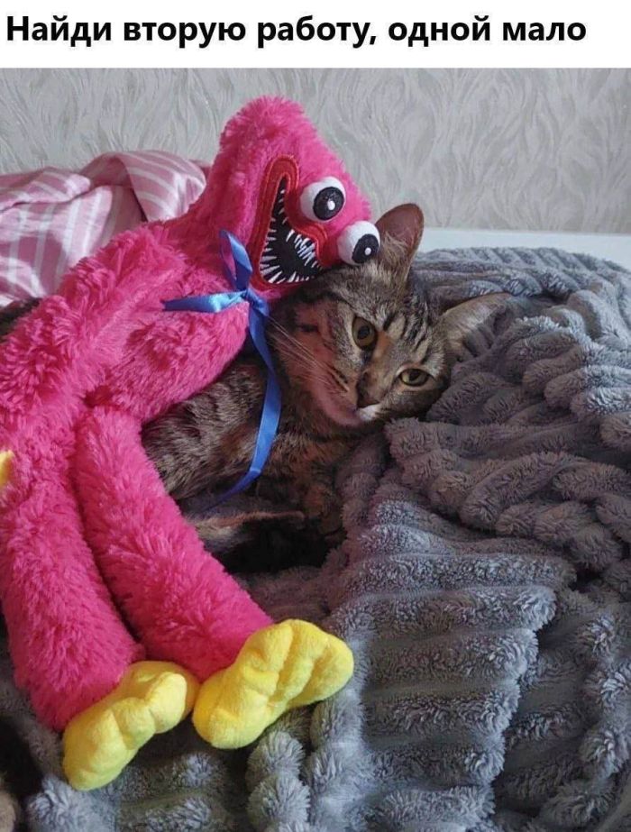 картинка 66409e7008 smeh prodlevaet zhizn a memy delajut ee jarche 0