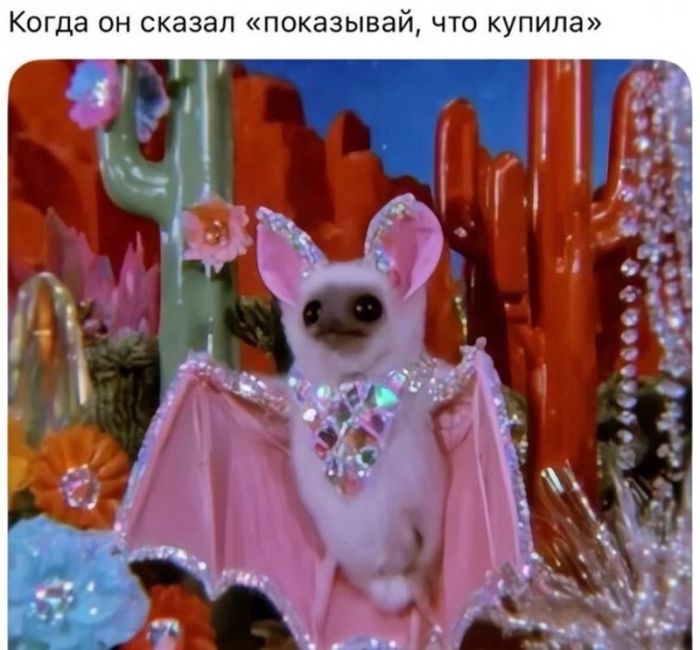 картинка 70832312cb vnimanie tolko dlja vzroslyh 4