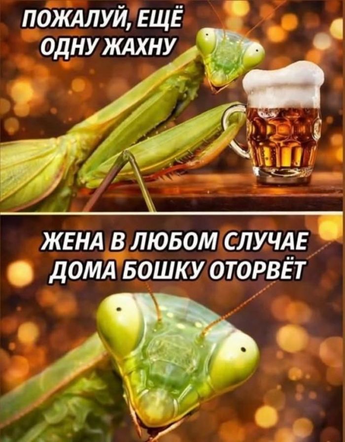 картинка 74bb464399 vnimanie tolko dlja vzroslyh 25