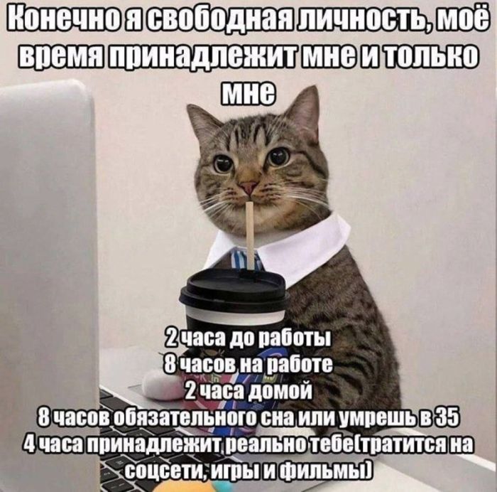 картинка 7941799de7 chernyj jumor v bolshoj podborki prikolov 8