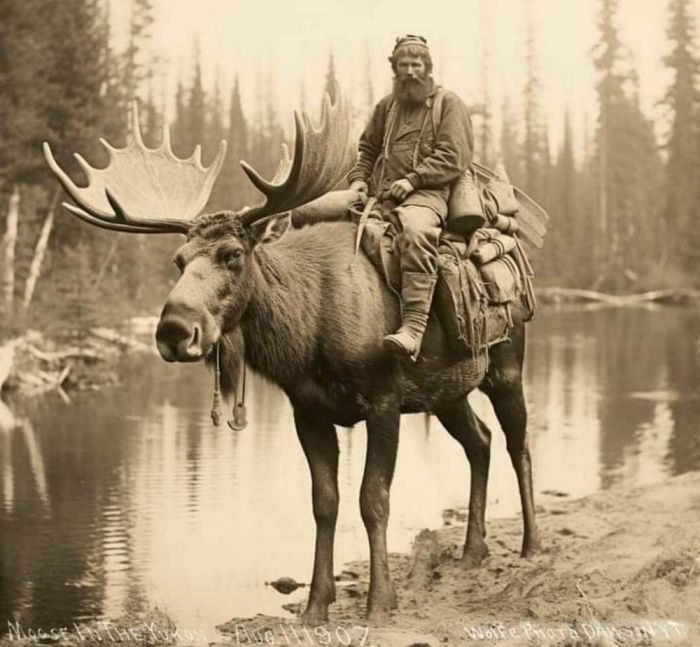 картинка 7daea88134 pjatnica prishla vremja dlja smeha i pozitiva 15