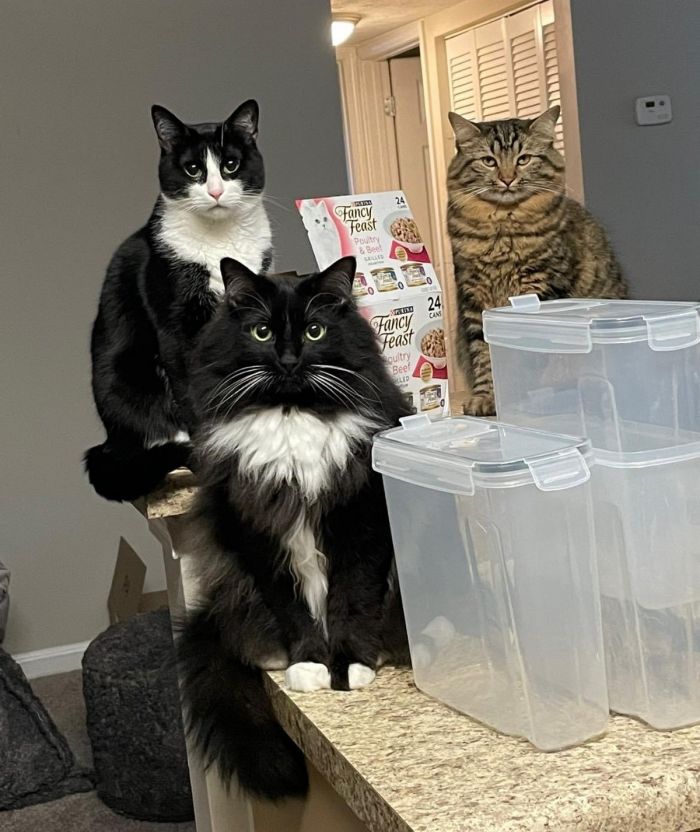 картинка 7e33c9f55e malenkaja pjatnica uzhe zdes a s nej i nash novyj sbornik prikolov 6