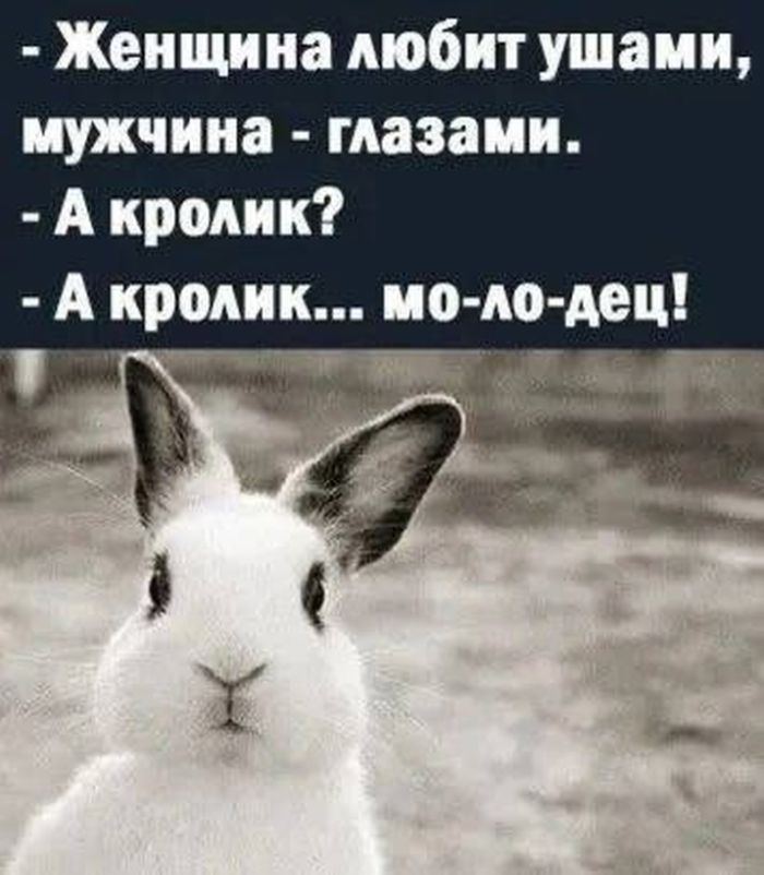 картинка 85567a87bc chernyj jumor kotoryj pojmut tolko te kto uzhe vkusil zhizn i vozmozhno nemnogo otravilsja eju  21