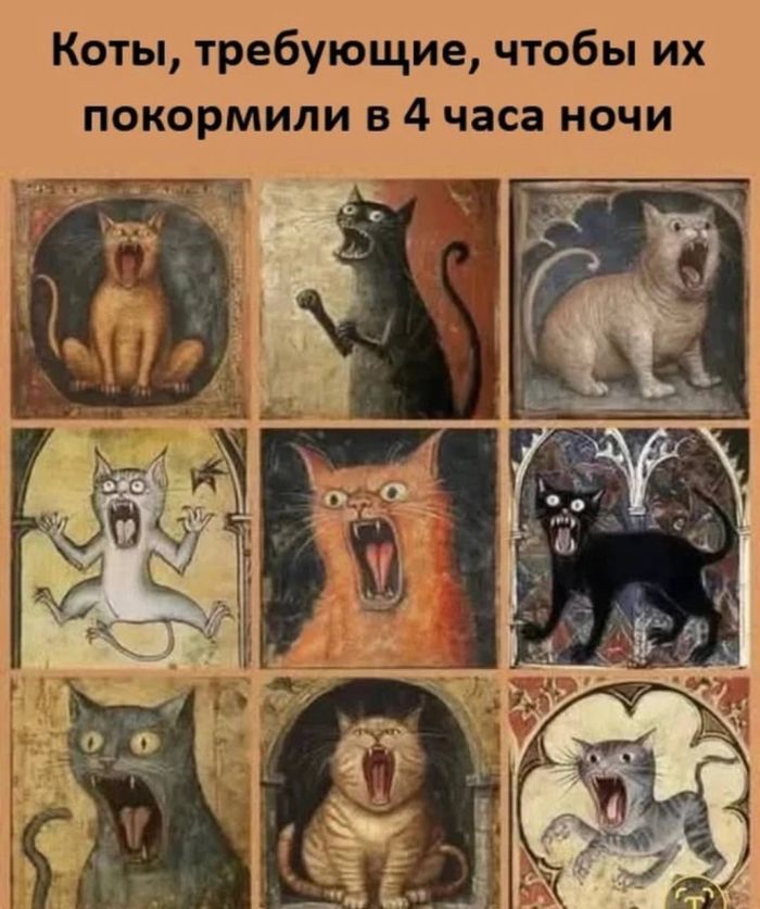 картинка 886f87332b 0000000000