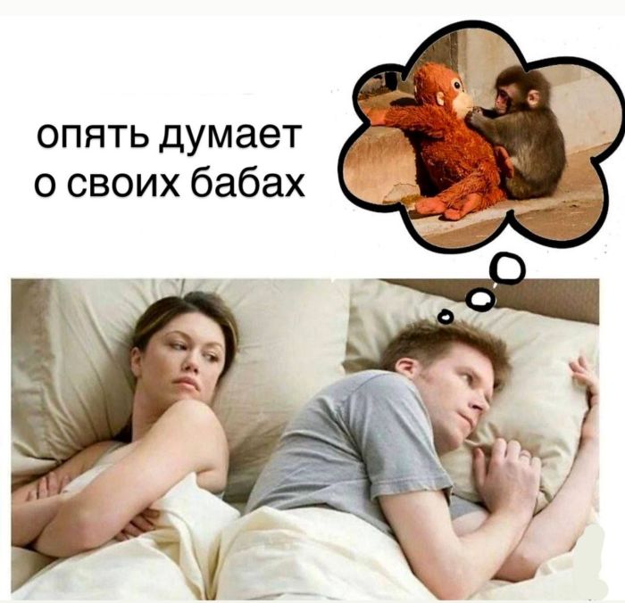 картинка 9085db9ffb malenkaja pjatnica uzhe zdes a s nej i nash novyj sbornik prikolov 7