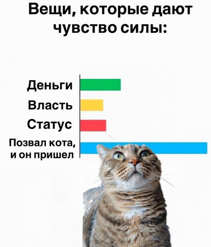 картинка 965c29e35d 0000