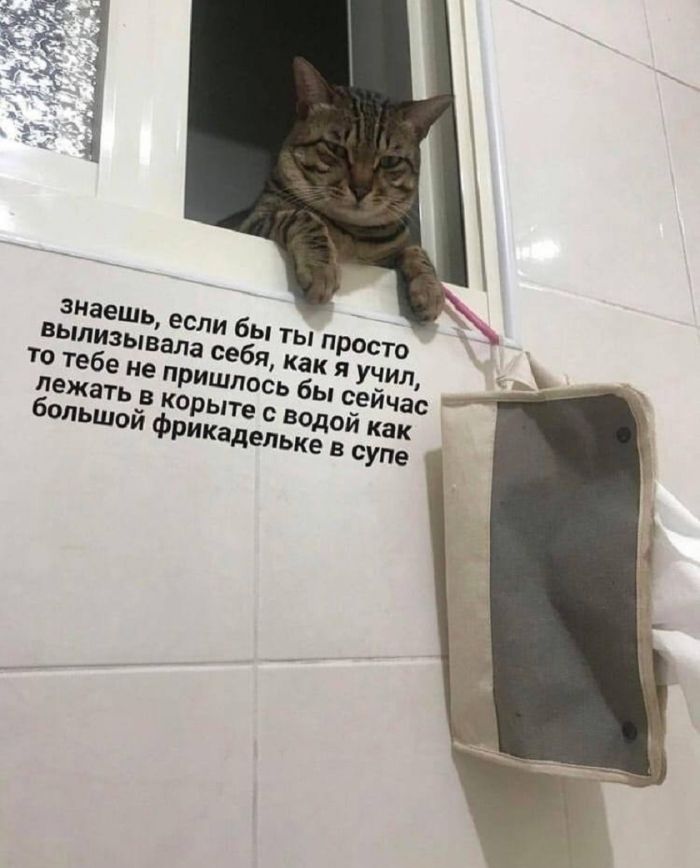 Готовьтесь к выходным с улыбкой! Ваш личный сборник мемов уже здесь Готовьтесь к выходным с улыбкой! Ваш личный сборник мемов уже здесь которые, выходные, самый, позитива, только, самых, сборник, каждый, друзья, чтобы, просто, посмеяться, меняАбсурдный, хорошего, максимальную, заставят, гарантировать, сказать, заботой, любовью