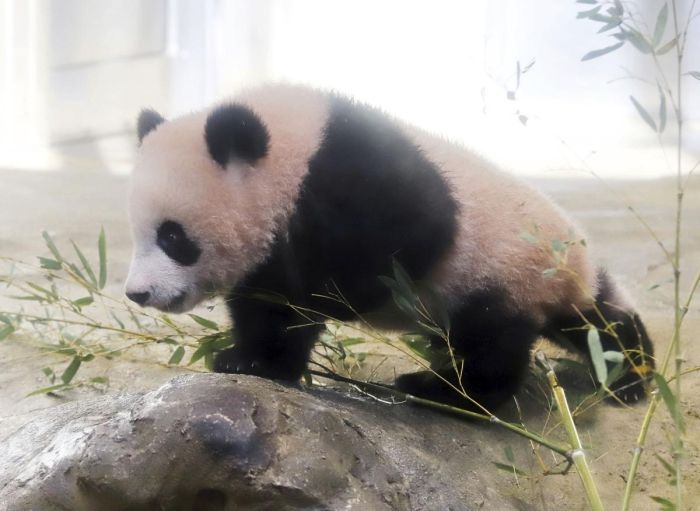 картинка aaa13b71a1 pjatnica prishla vremja dlja smeha i pozitiva 1