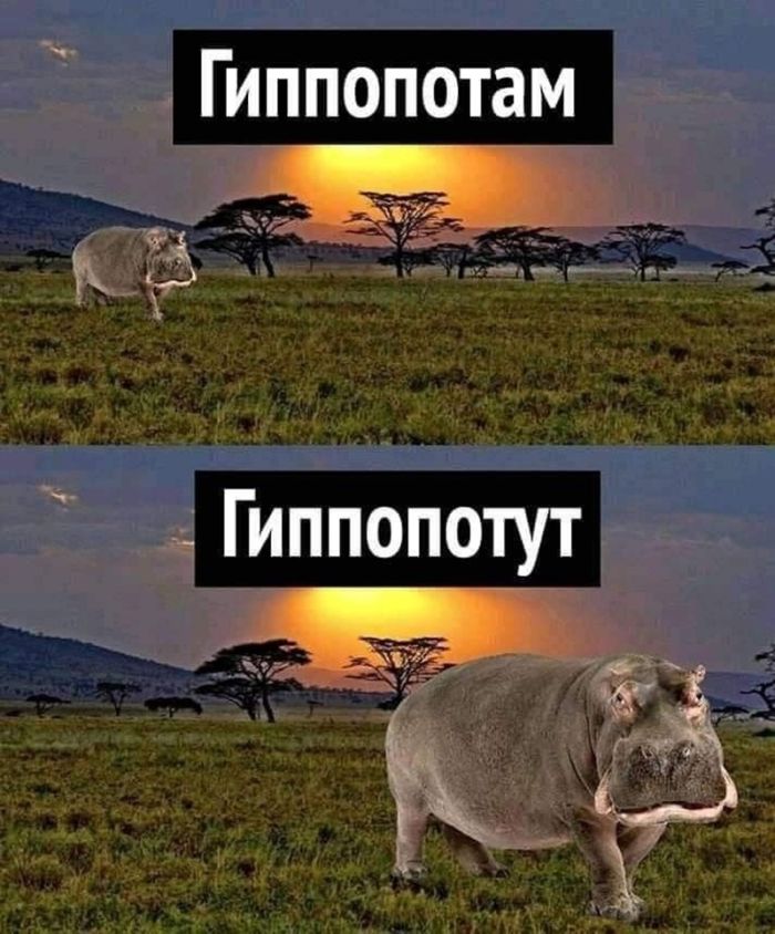 картинка b17fee1399 chernyj jumor v bolshoj podborki prikolov 15