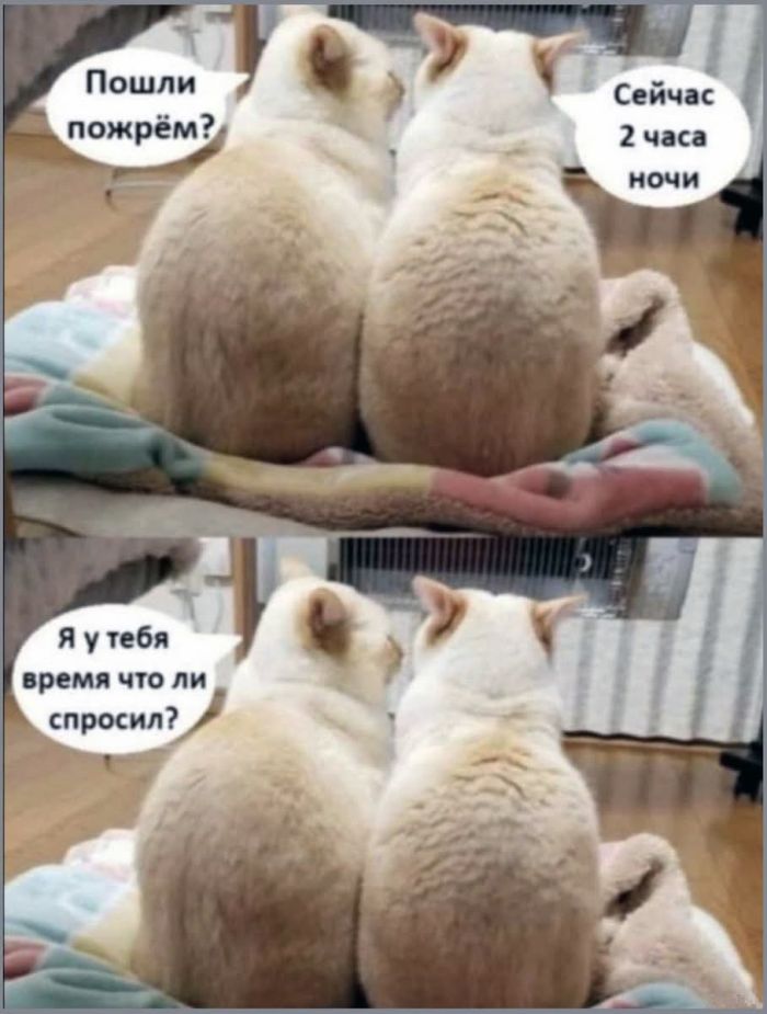 картинка c25887f336 pjatnica prishla vremja dlja smeha i pozitiva 11