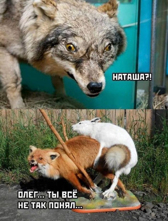 картинка cea35869fb vnimanie tolko dlja vzroslyh 12