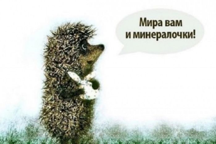 Готовьтесь к выходным с улыбкой! Ваш личный сборник мемов уже здесь Готовьтесь к выходным с улыбкой! Ваш личный сборник мемов уже здесь которые, выходные, самый, позитива, только, самых, сборник, каждый, друзья, чтобы, просто, посмеяться, меняАбсурдный, хорошего, максимальную, заставят, гарантировать, сказать, заботой, любовью