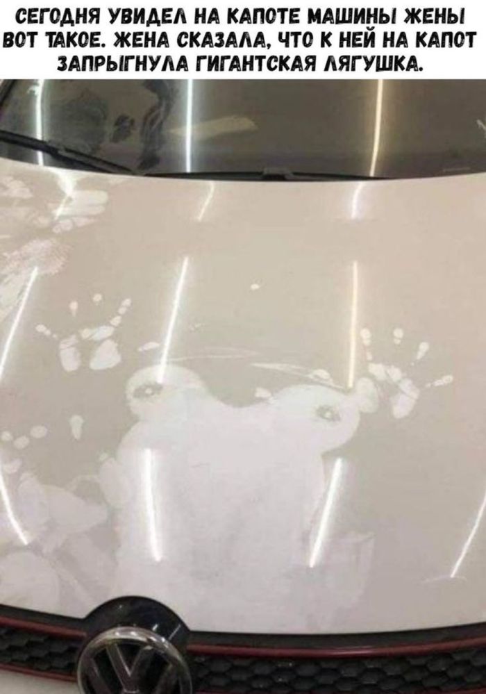 картинка cf07d0908c chernyj jumor v bolshoj podborki prikolov 17