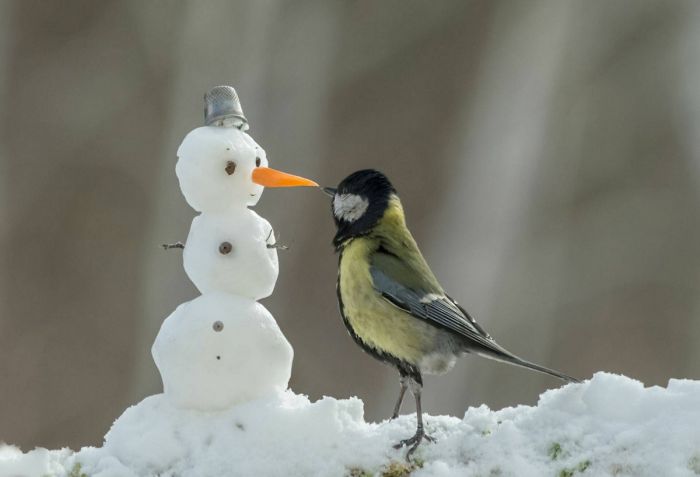 картинка da74727d1d malenkaja pjatnica uzhe zdes a s nej i nash novyj sbornik prikolov 8