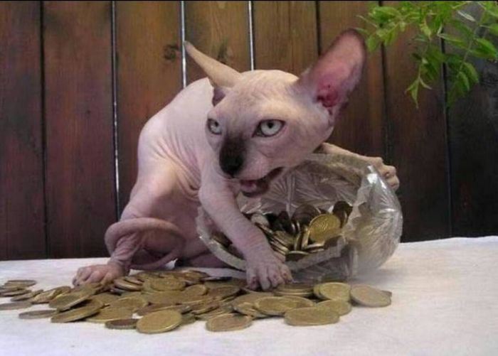 картинка de1e5357d9 pjatnica prishla vremja dlja smeha i pozitiva 14