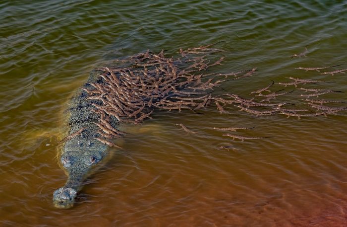 картинка e5eccdb913 pjatnica prishla vremja dlja smeha i pozitiva 11
