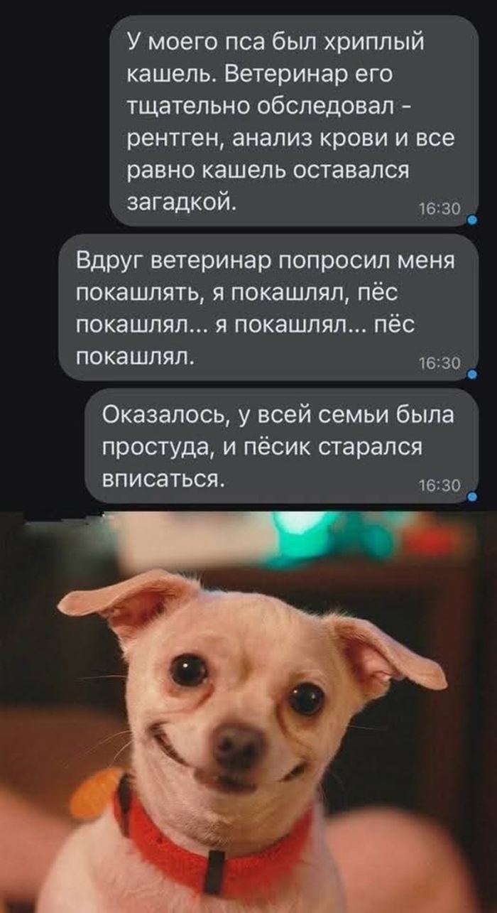 картинка f1127d2a90 ostorozhno kontent 18 13