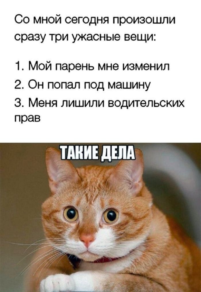 картинка f7baafffa2 pjatnica vremja dlja smeha lovite novuju porciju prikolov 9