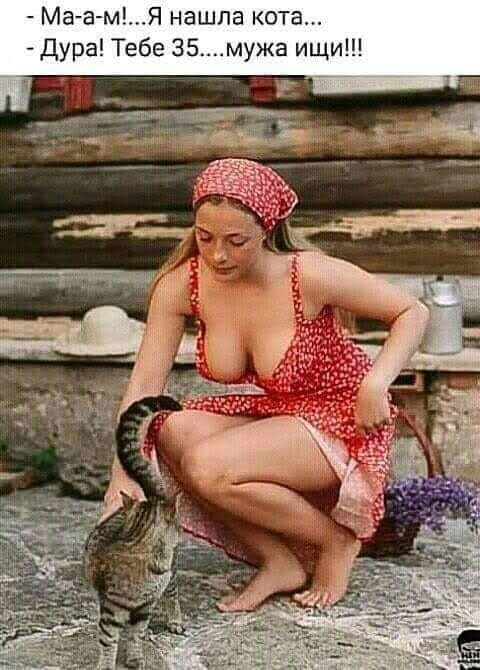 Устал от скуки? Хочется улыбнуться? Тогда тебе сюда! собрали, грусть, делись, смейся, Листай, время, любое, работают, шутки, хандру, Забудь, огромную, настроение, поднимут, точно, которые, мемов, уморительных, свежих, самых