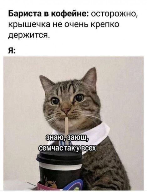 картинка 02f51039ba 20833174