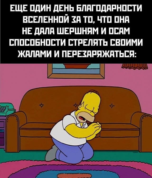 картинка 08bab90615 20837772