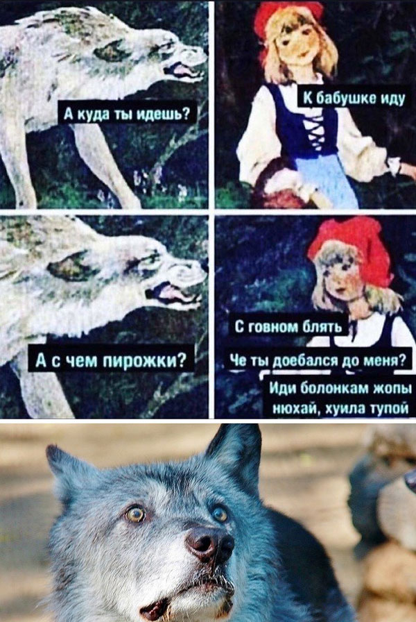 картинка 09ec2d6ba4 vstrechajte vasha porcija pozitiva uzhe zdes 00