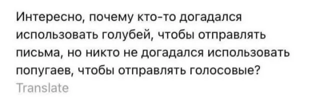 картинка 0ae8e9eb47 20775577