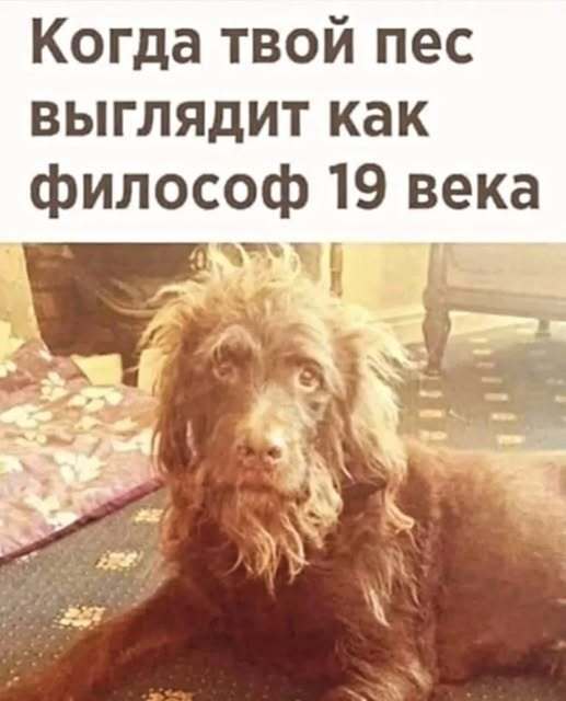 Маленькая пятница – время для смеха и отдыха! 🥳 Середина, приколов, выходные, улыбайтесь, Смотрите, делах, забыть, расслабиться, помогут, которые, свежих, недели, самых, сборник, новый, Представляем, исправить, знаем, утомительной, может