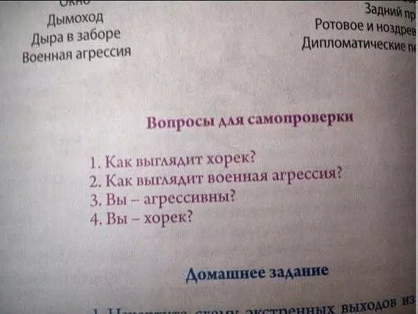 картинка 0bbd0cf884 20777503