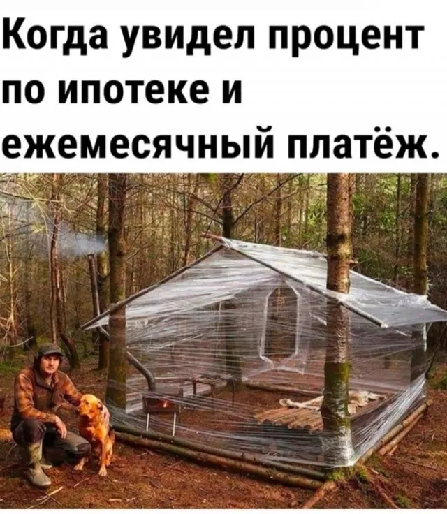 картинка 0bbf26ff58 20759065