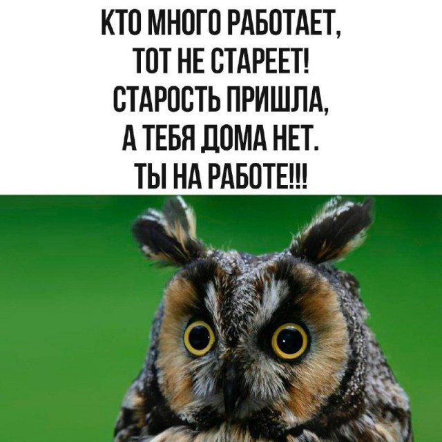 картинка 0c682cde58 20832553