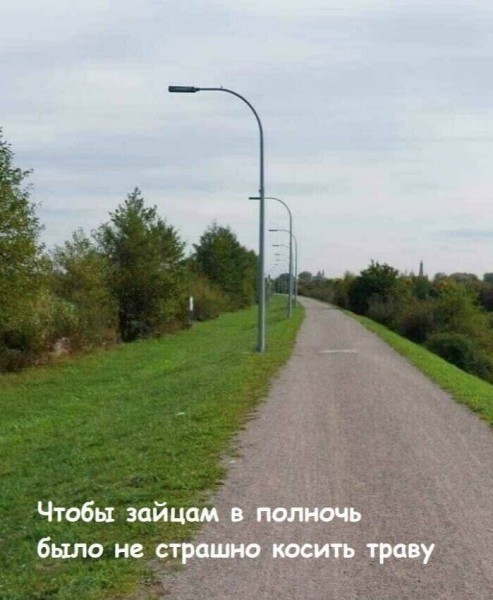 картинка 0d66670c2e 20789207