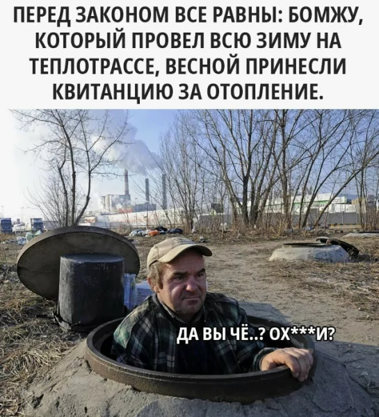 картинка 0dd8863a37 0000