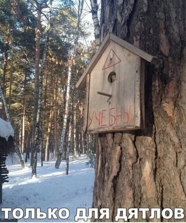 картинка 0e07ca45e3 20777442