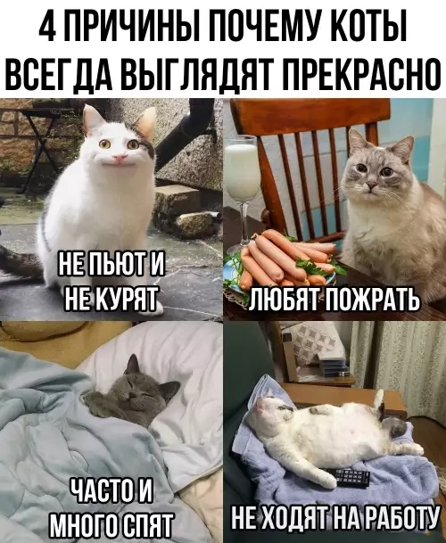 картинка 0e3f3a26f7 20832860