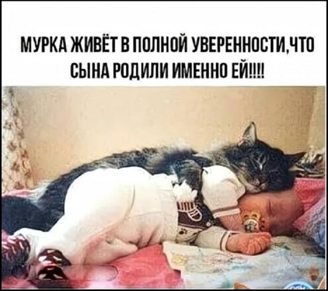 картинка 0ec73383ca 20791259