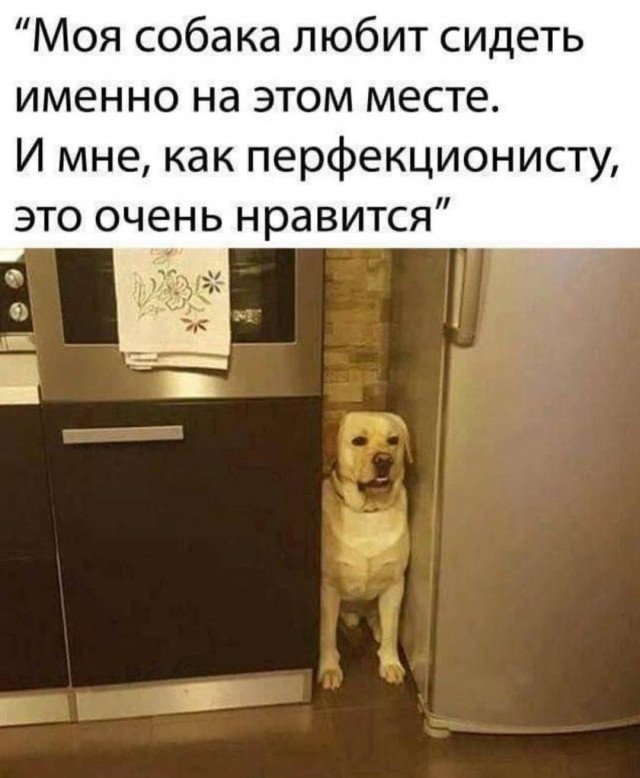 картинка 119992867d 20791257