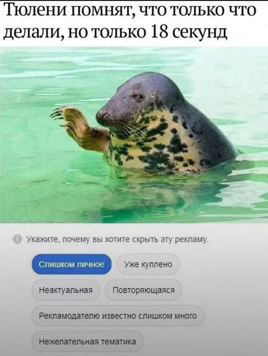 картинка 11d5ce0d14 zagljanite k nam za porciej horoshego nastroenija 2