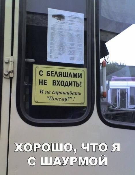 картинка 13917a221e 20827811