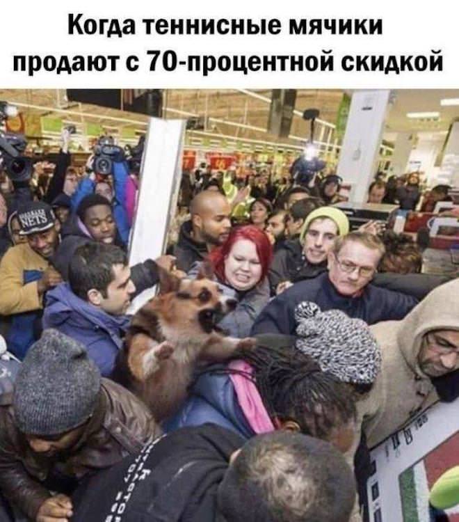 Готовьтесь смеяться до слез! Мы собрали для вас самую убойную подборку мемов и комментариев из социальных сетей! самые, которые, чтобы, улыбка, остроумные, просмотра, лицаПриготовьтесь, сойдет, подборки, Забудьте, после, смеха, обещаем, позитива, порция, наблюденияГарантированная, гениальные, взрыву, делитесь, Листайте