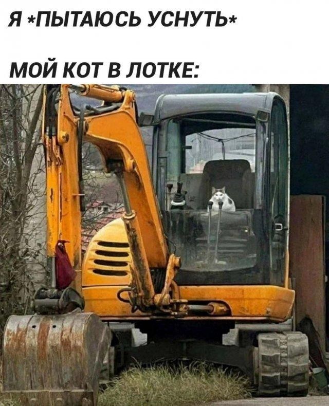 Взрыв позитива: лучшие мемы для ваших выходных