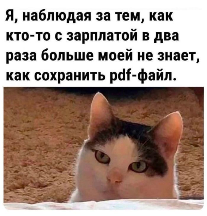 картинка 15cfde8a6f utro nachinaetsja ne s kofe a s porcii otbornogo jumora 5