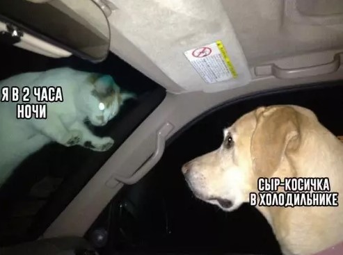 картинка 17a84218ef utro nachinaetsja s ulybki luchshie memy chtoby zarjaditsja pozitivom 3