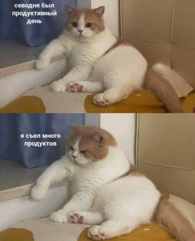 Устал от скуки? Хочется улыбнуться? Тогда тебе сюда! собрали, грусть, делись, смейся, Листай, время, любое, работают, шутки, хандру, Забудь, огромную, настроение, поднимут, точно, которые, мемов, уморительных, свежих, самых