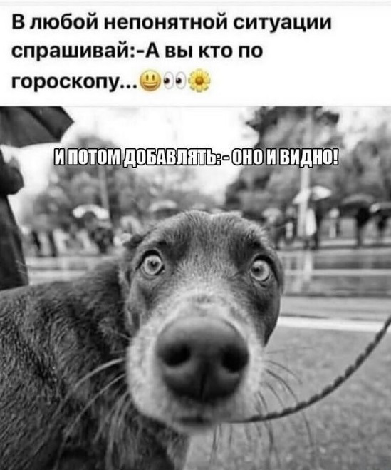 Маленькая пятница – время для смеха и отдыха! 🥳 Середина, приколов, выходные, улыбайтесь, Смотрите, делах, забыть, расслабиться, помогут, которые, свежих, недели, самых, сборник, новый, Представляем, исправить, знаем, утомительной, может