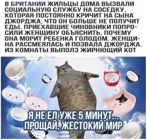 картинка 1cdcf4a835 20848441
