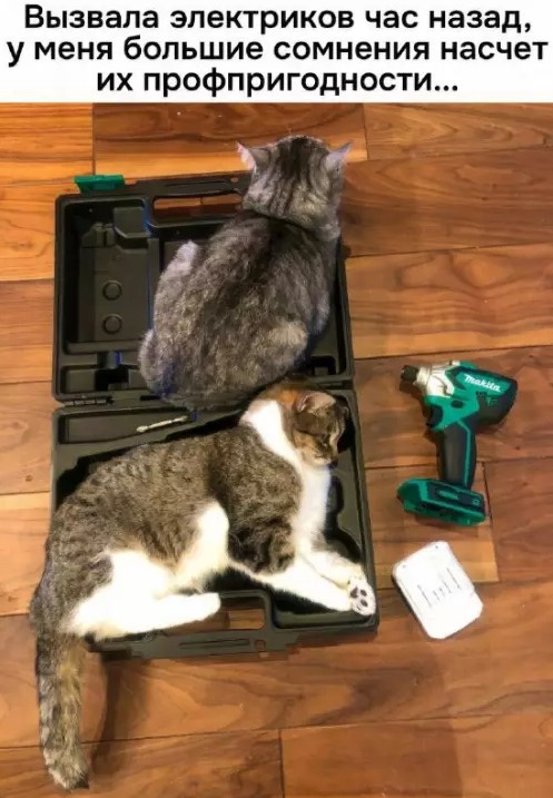 Маленькая пятница – время для смеха и отдыха! 🥳 Середина, приколов, выходные, улыбайтесь, Смотрите, делах, забыть, расслабиться, помогут, которые, свежих, недели, самых, сборник, новый, Представляем, исправить, знаем, утомительной, может