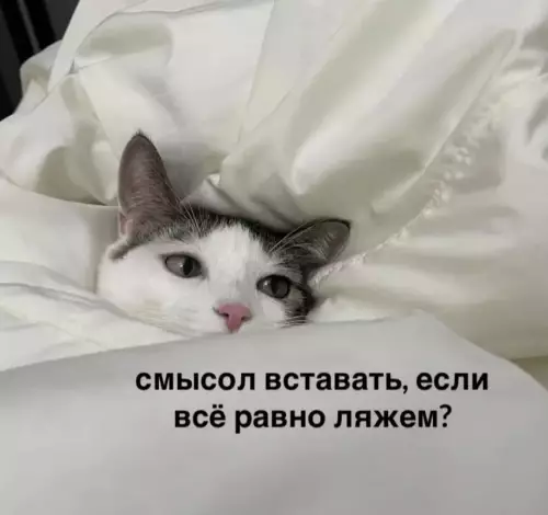 Устал от скуки? Хочется улыбнуться? Тогда тебе сюда! собрали, грусть, делись, смейся, Листай, время, любое, работают, шутки, хандру, Забудь, огромную, настроение, поднимут, точно, которые, мемов, уморительных, свежих, самых