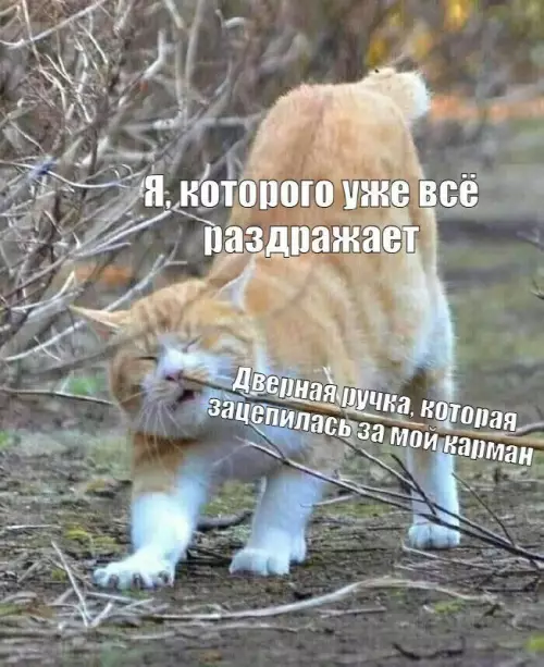 картинка 20ee5359c2 20832868